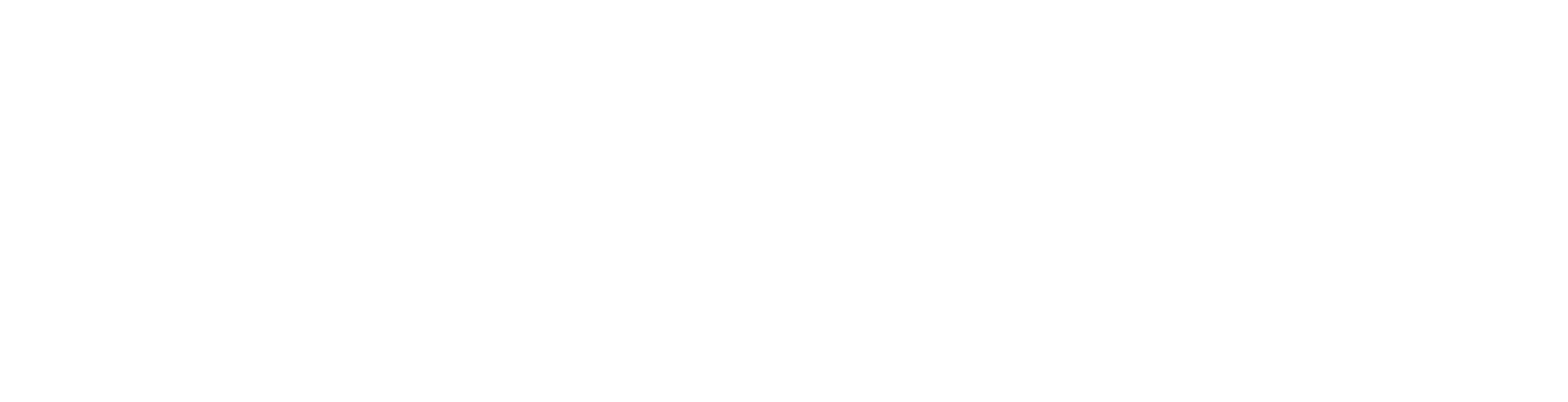 Asset 6