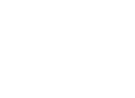 הנדי שטרנברג